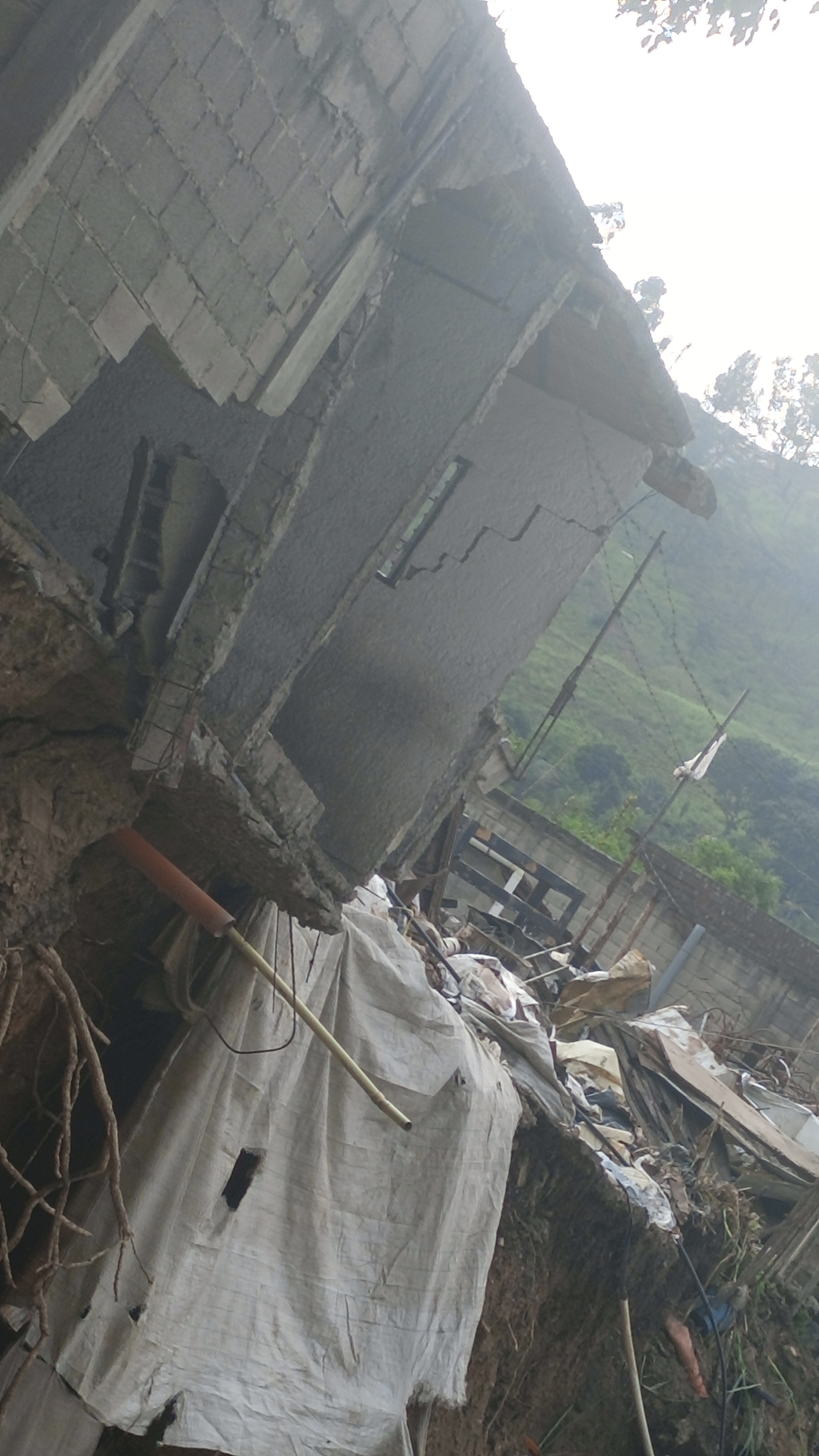 Foto reporte