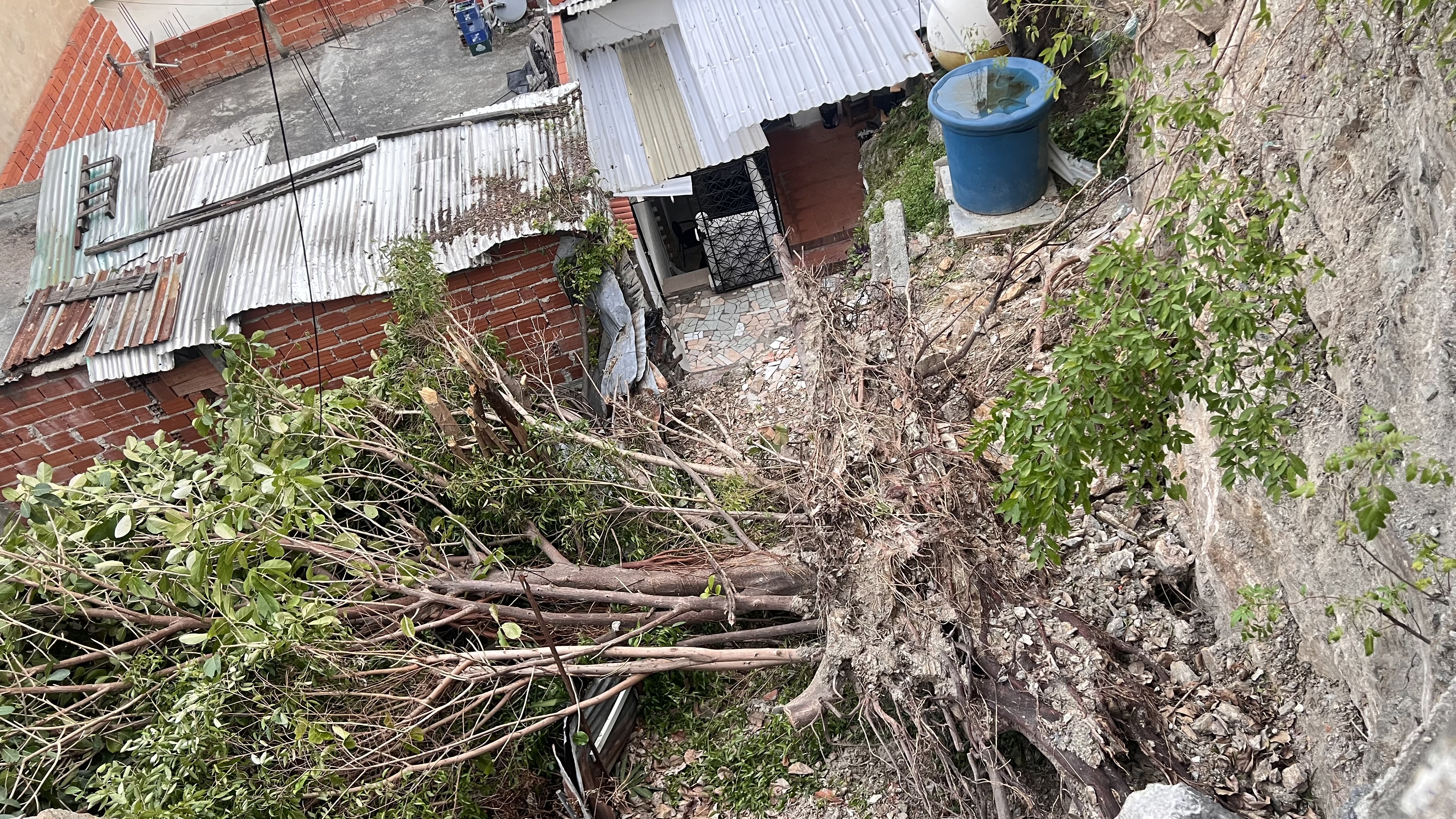 Foto reporte