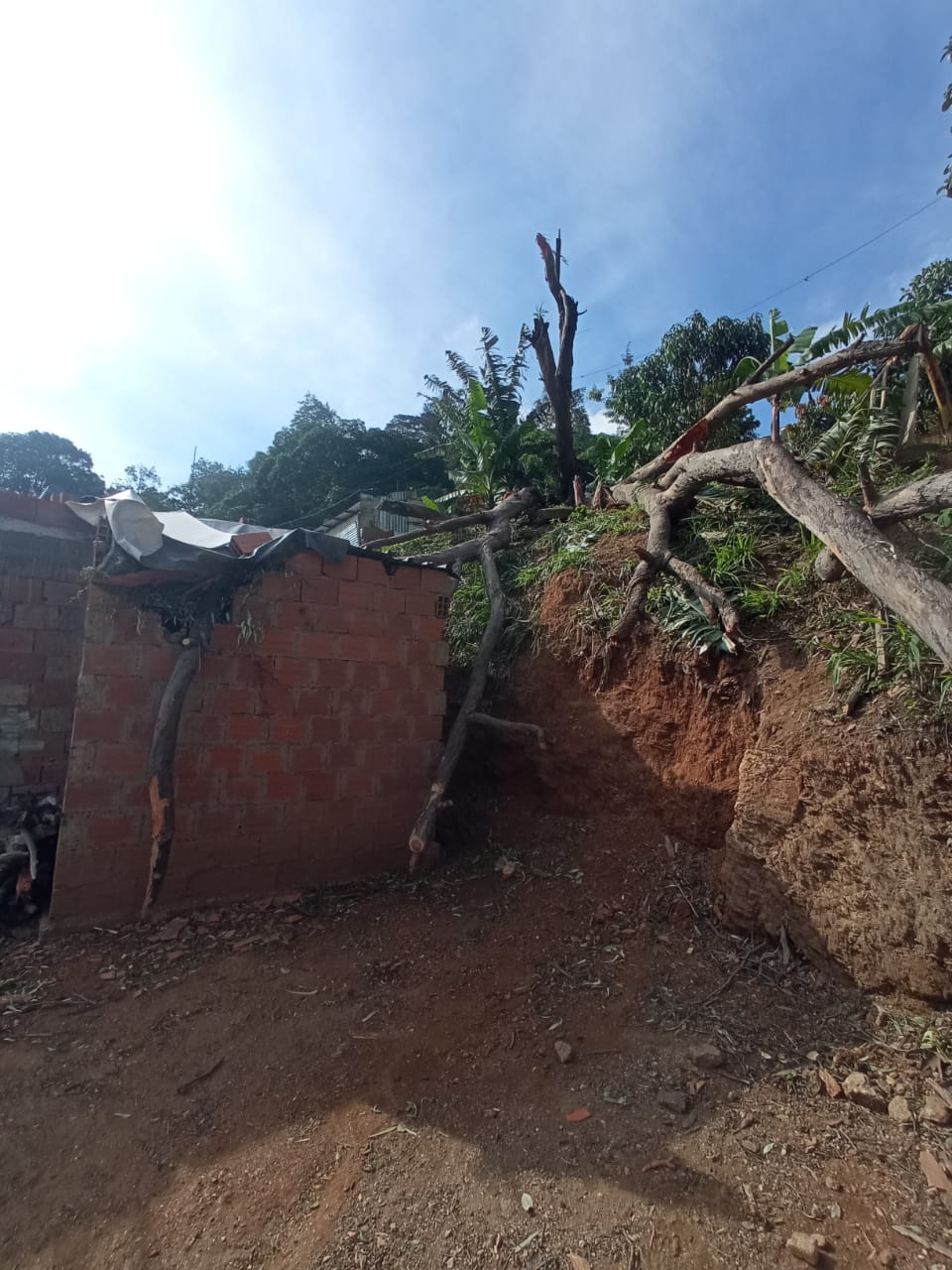 Foto reporte