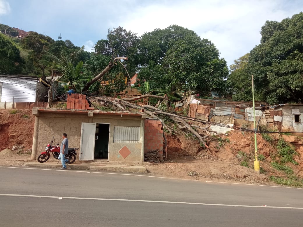 Foto reporte