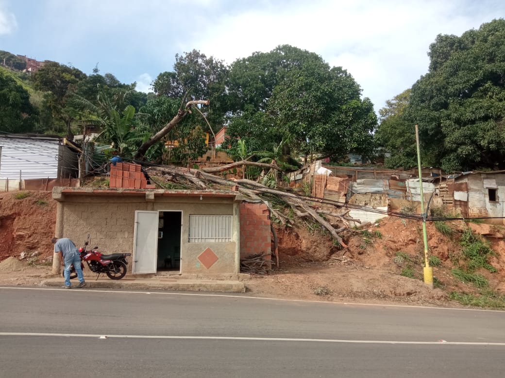 Foto reporte