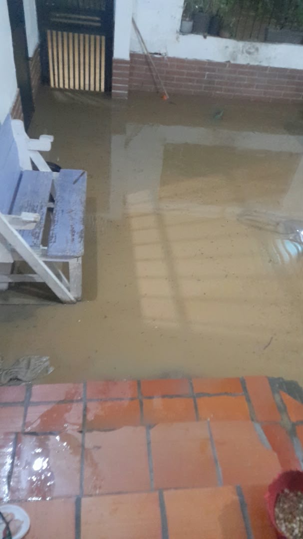 Foto reporte