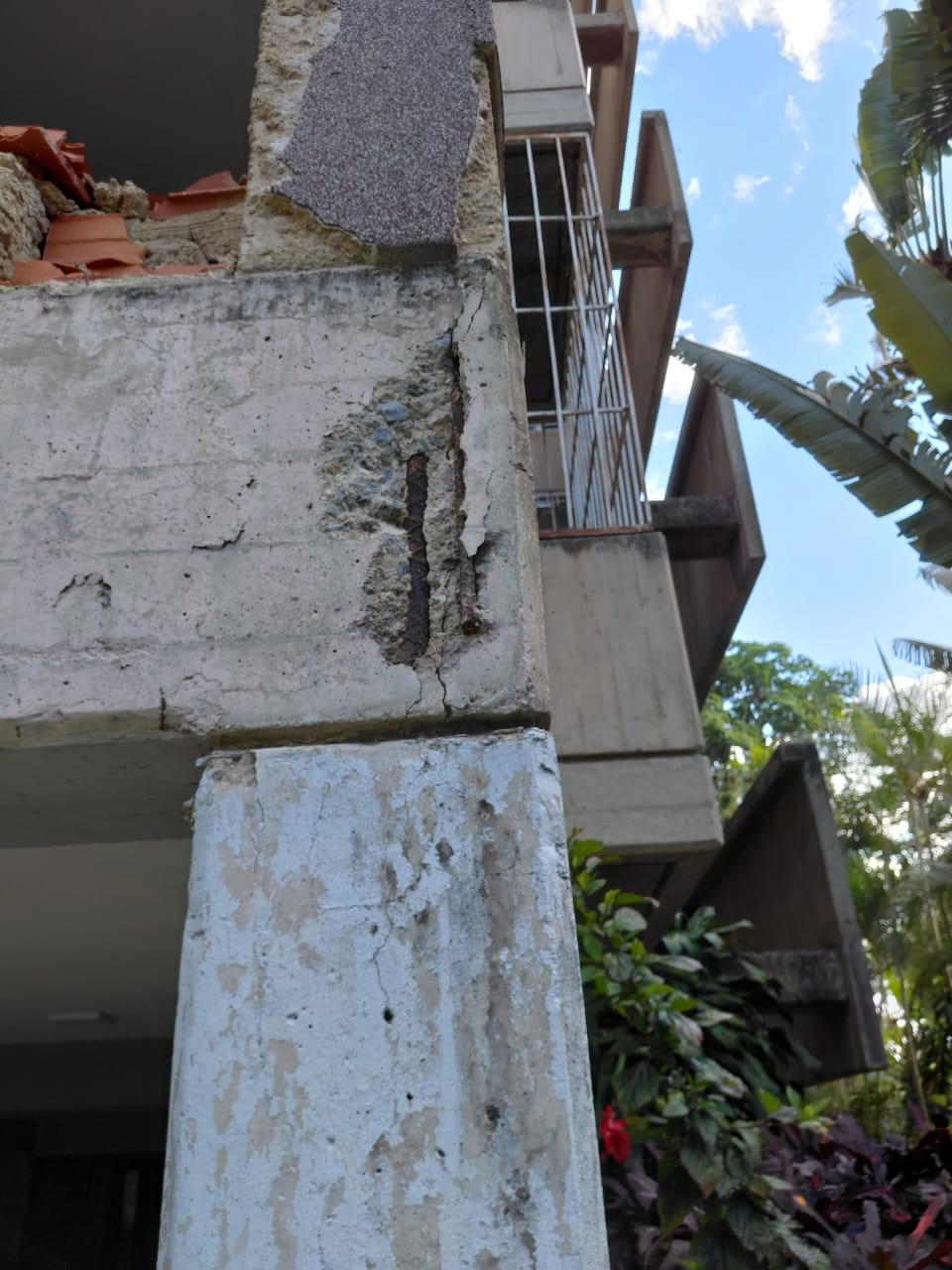 Foto reporte