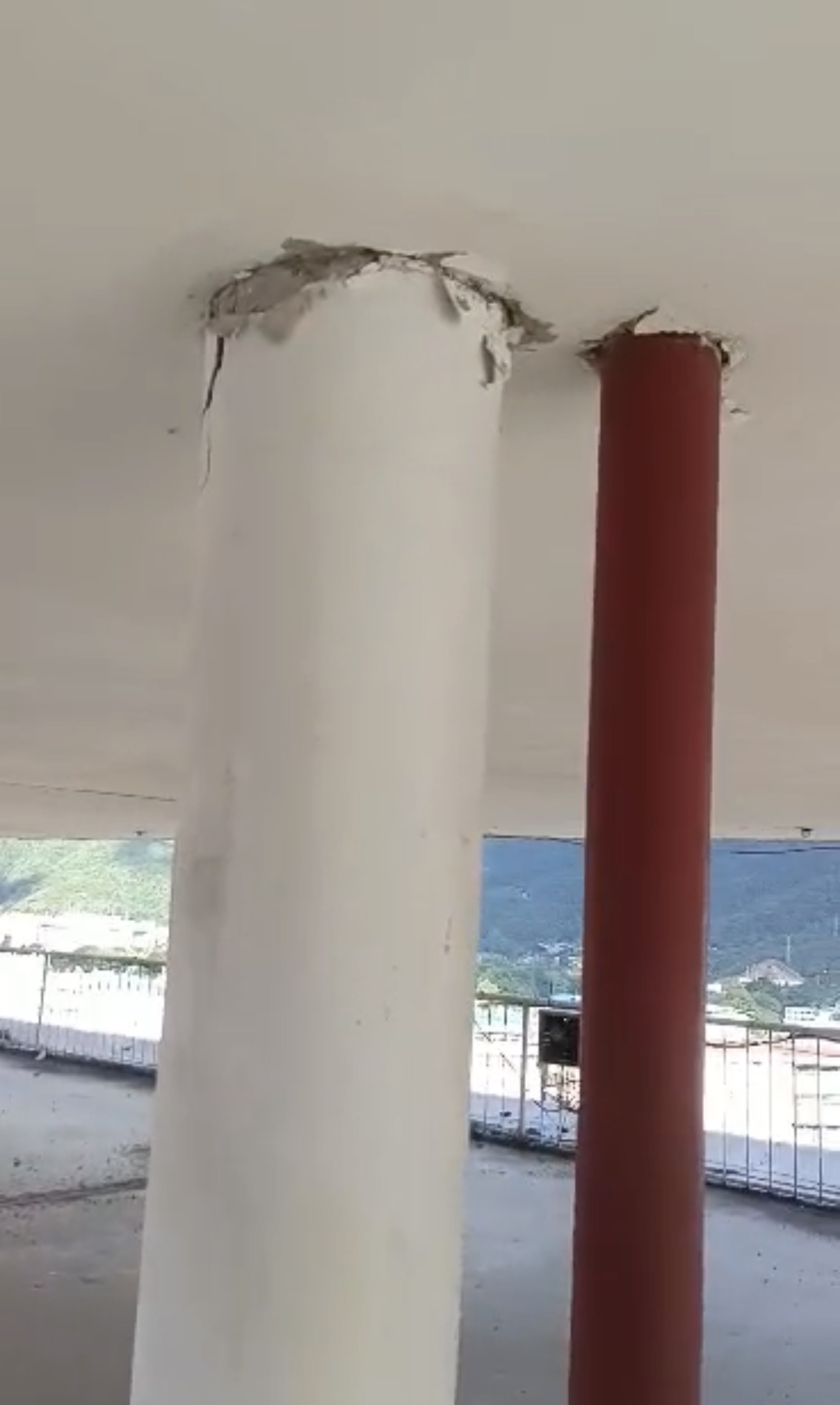 Foto reporte