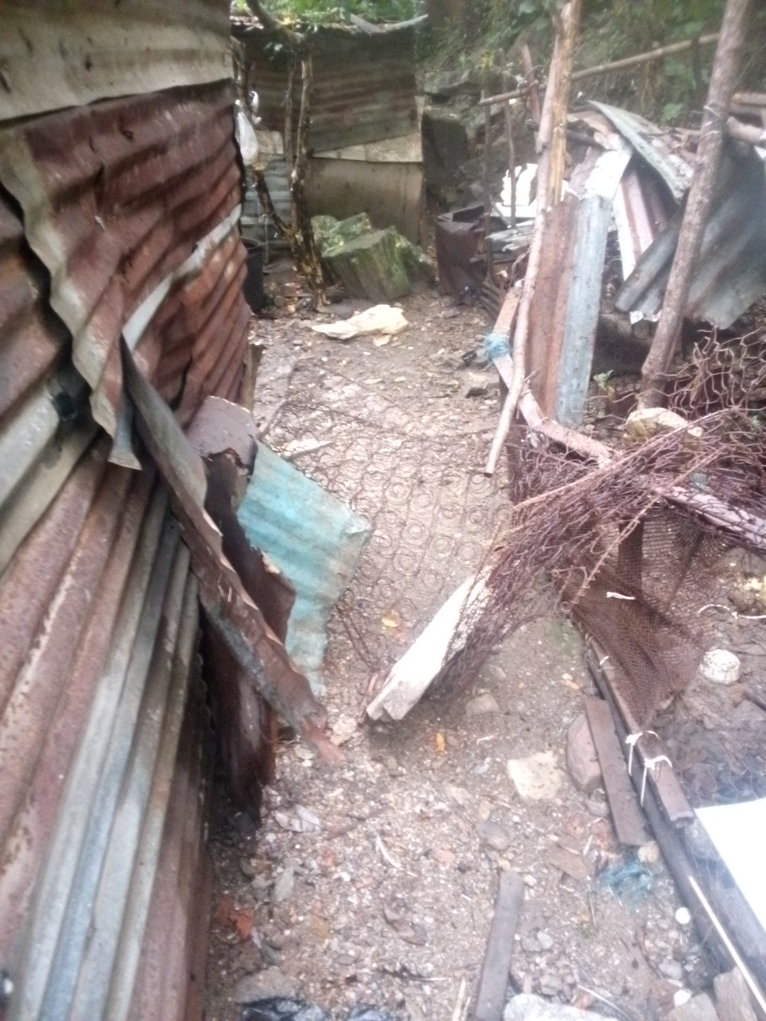 Foto reporte