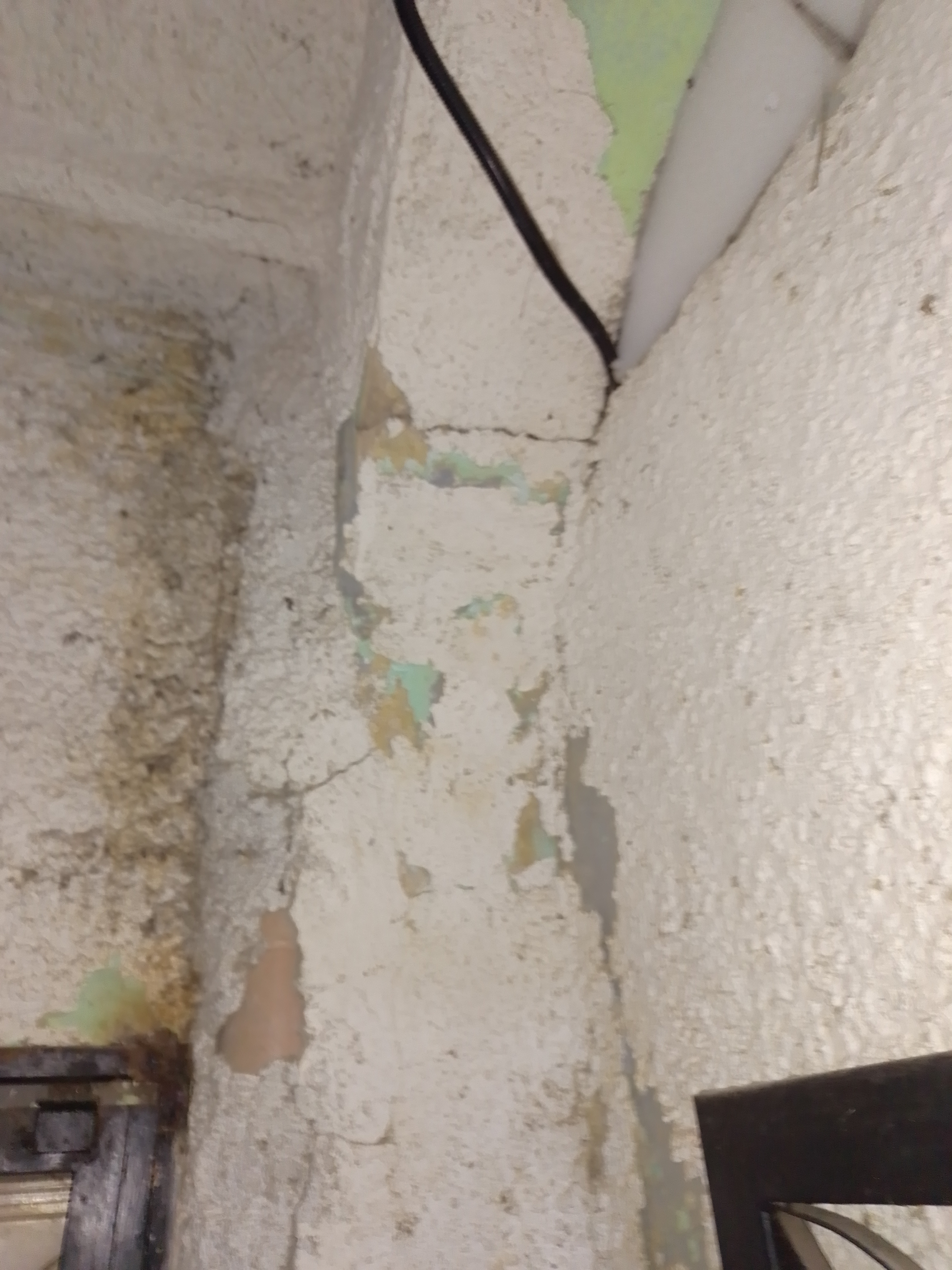 Foto reporte