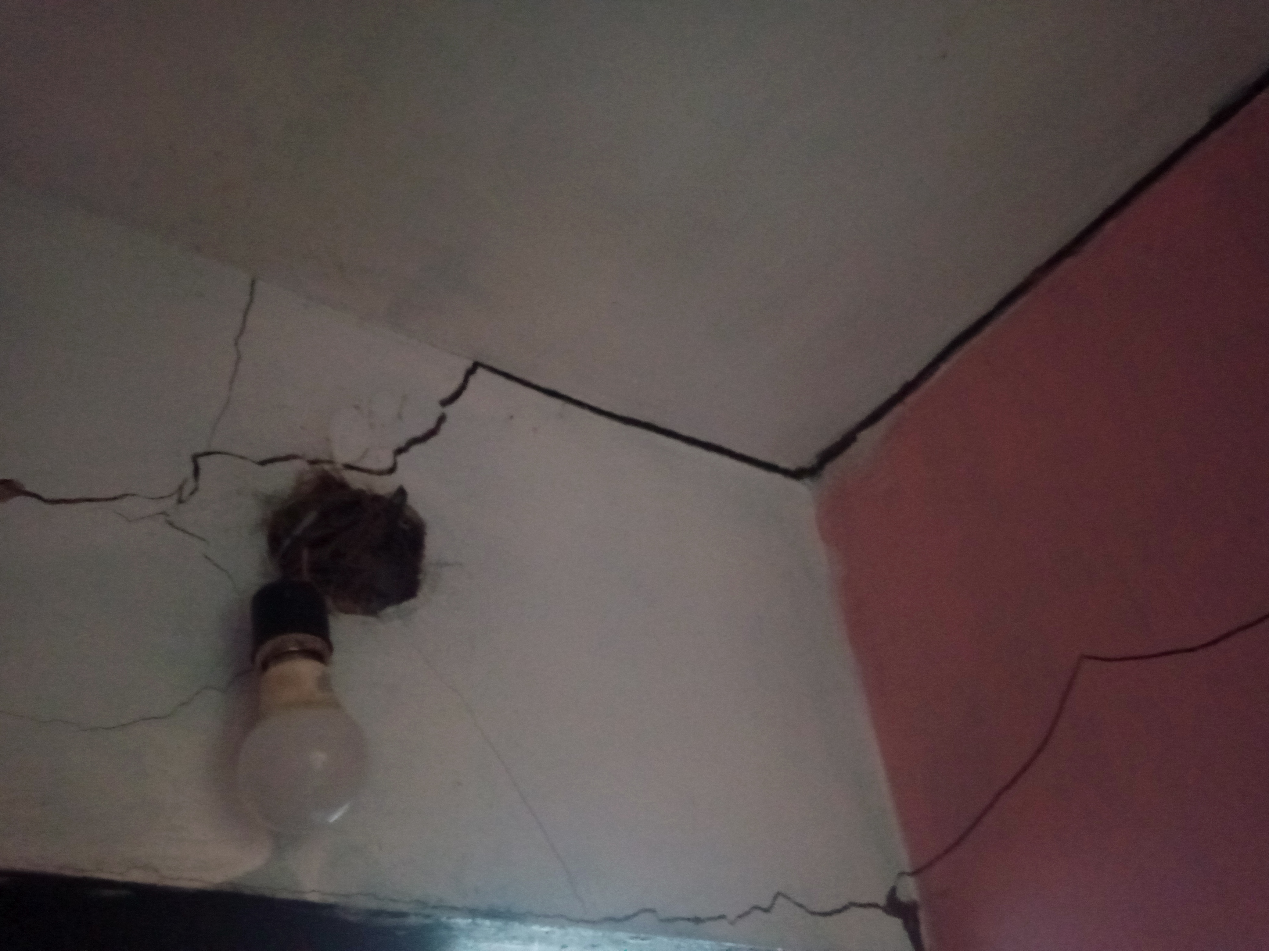 Foto reporte