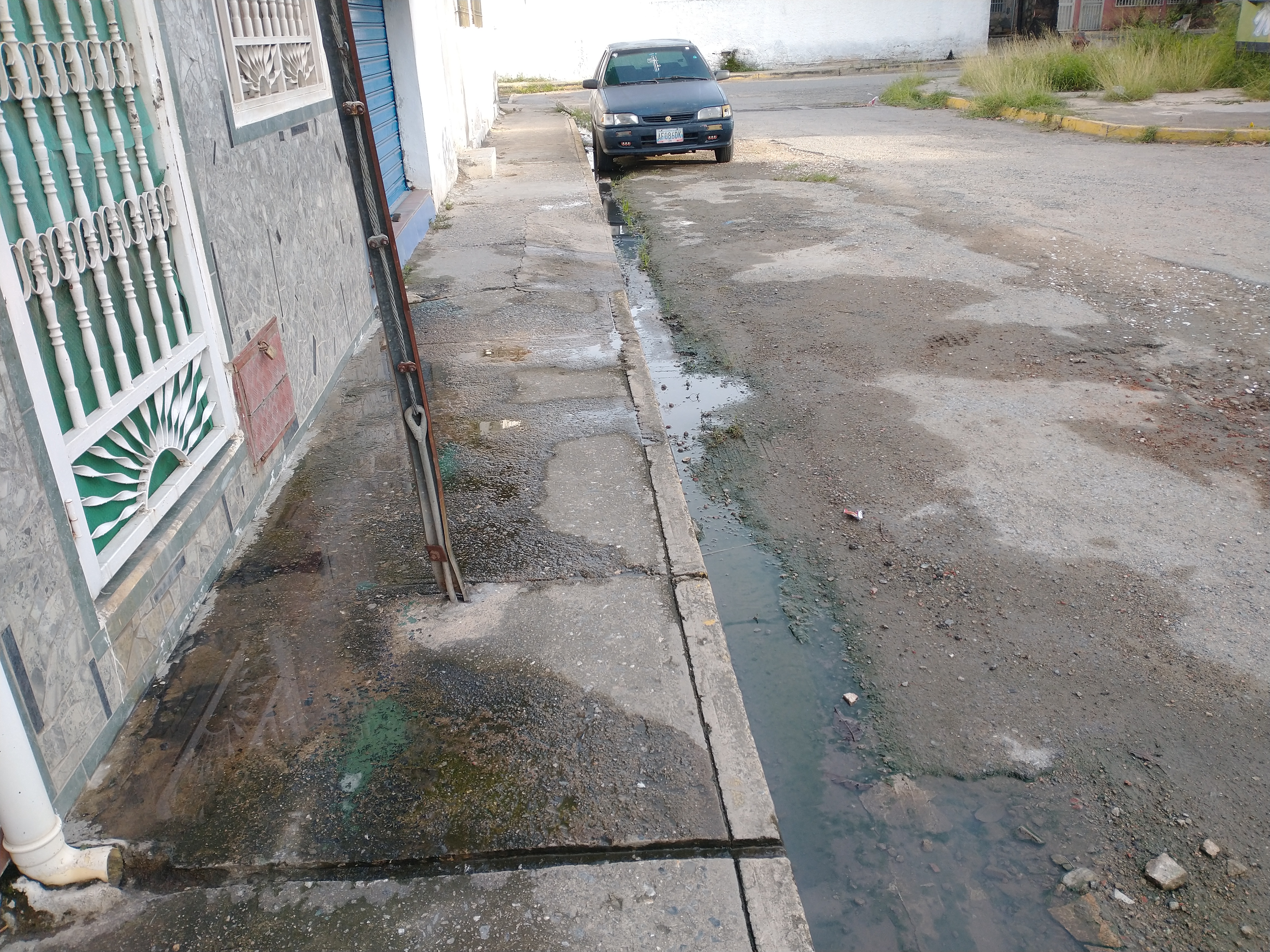 Foto reporte