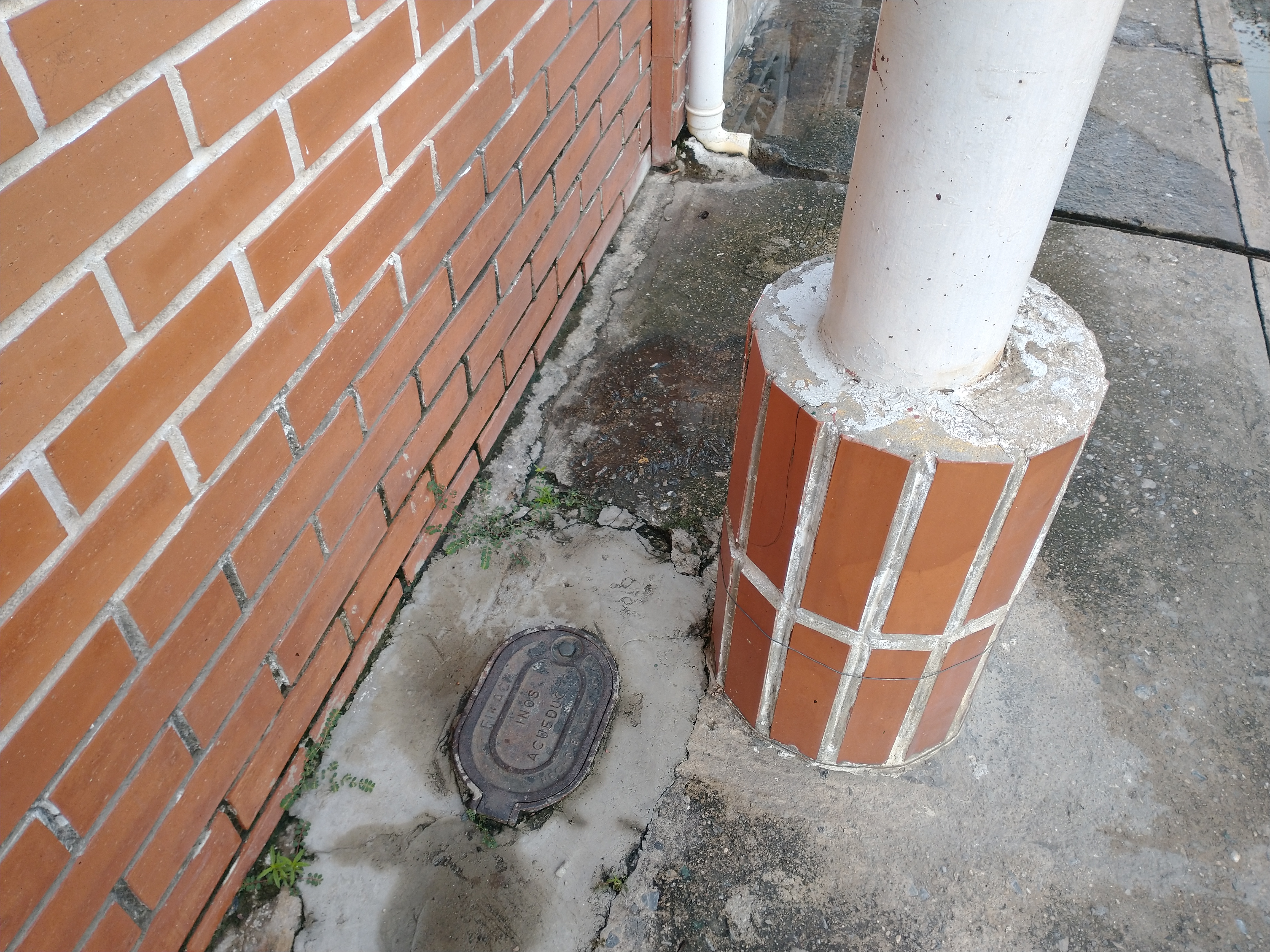 Foto reporte