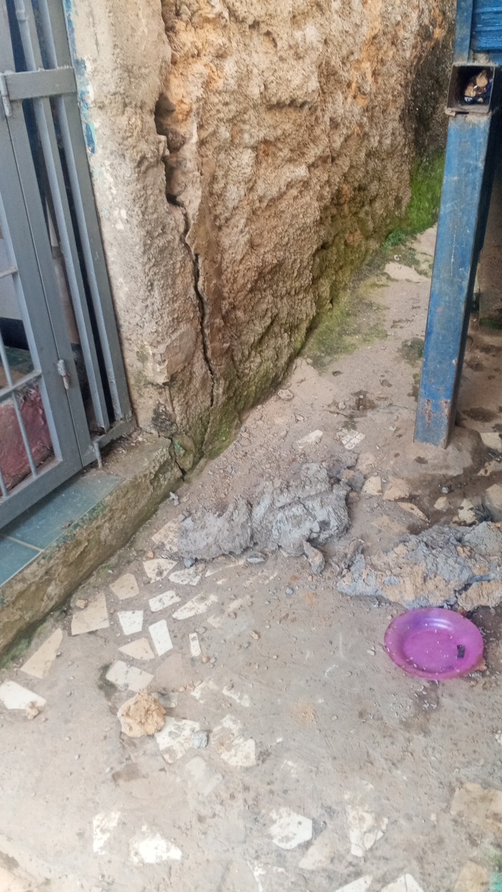 Foto reporte