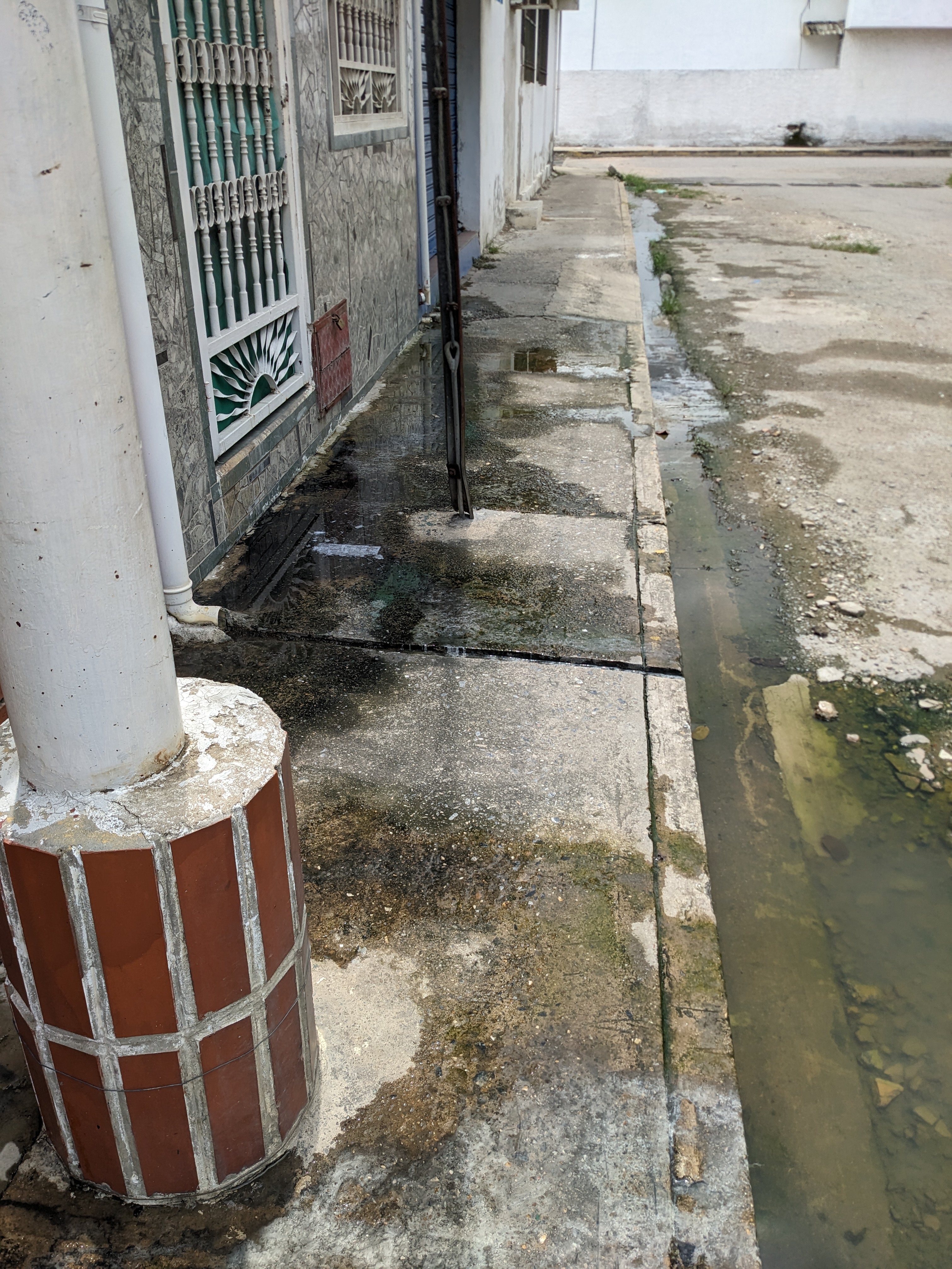 Foto reporte