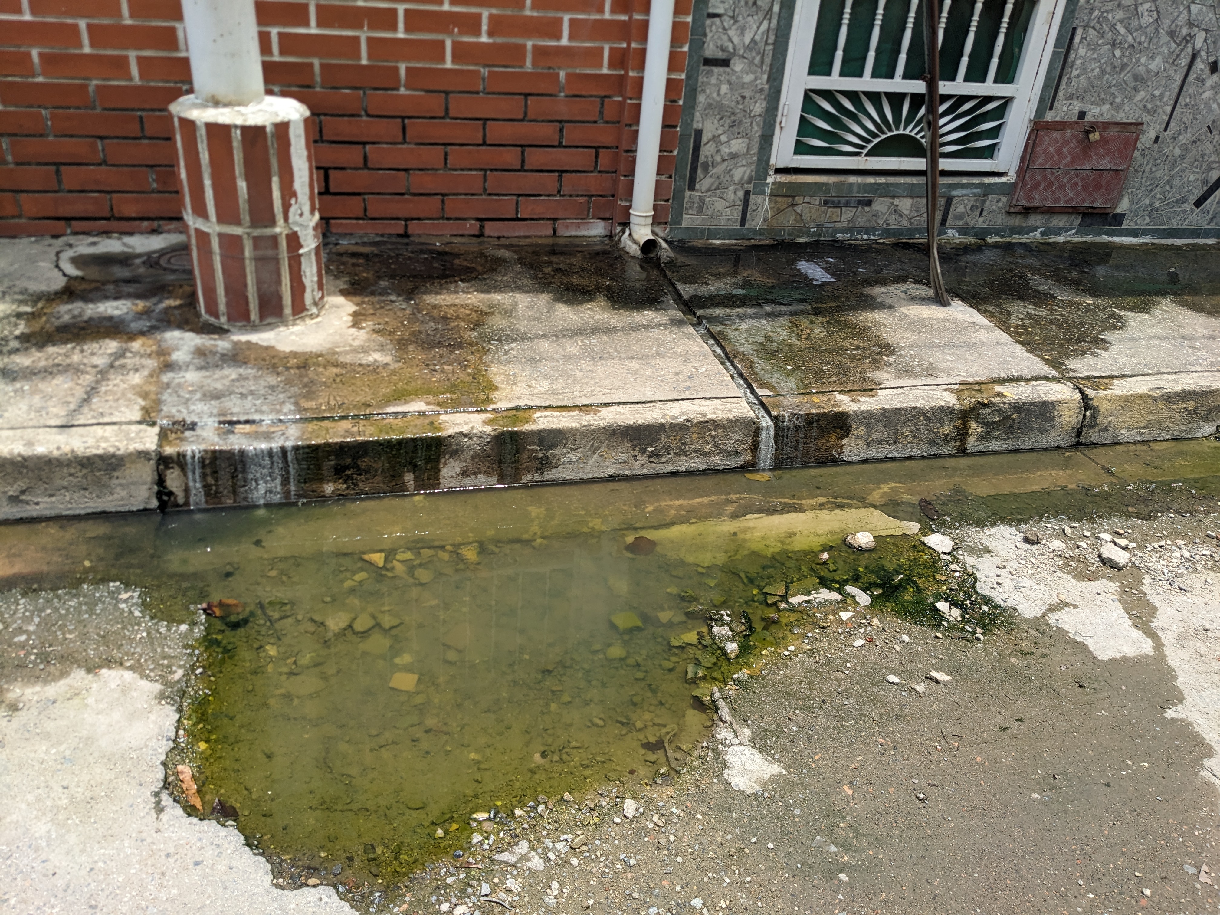Foto reporte