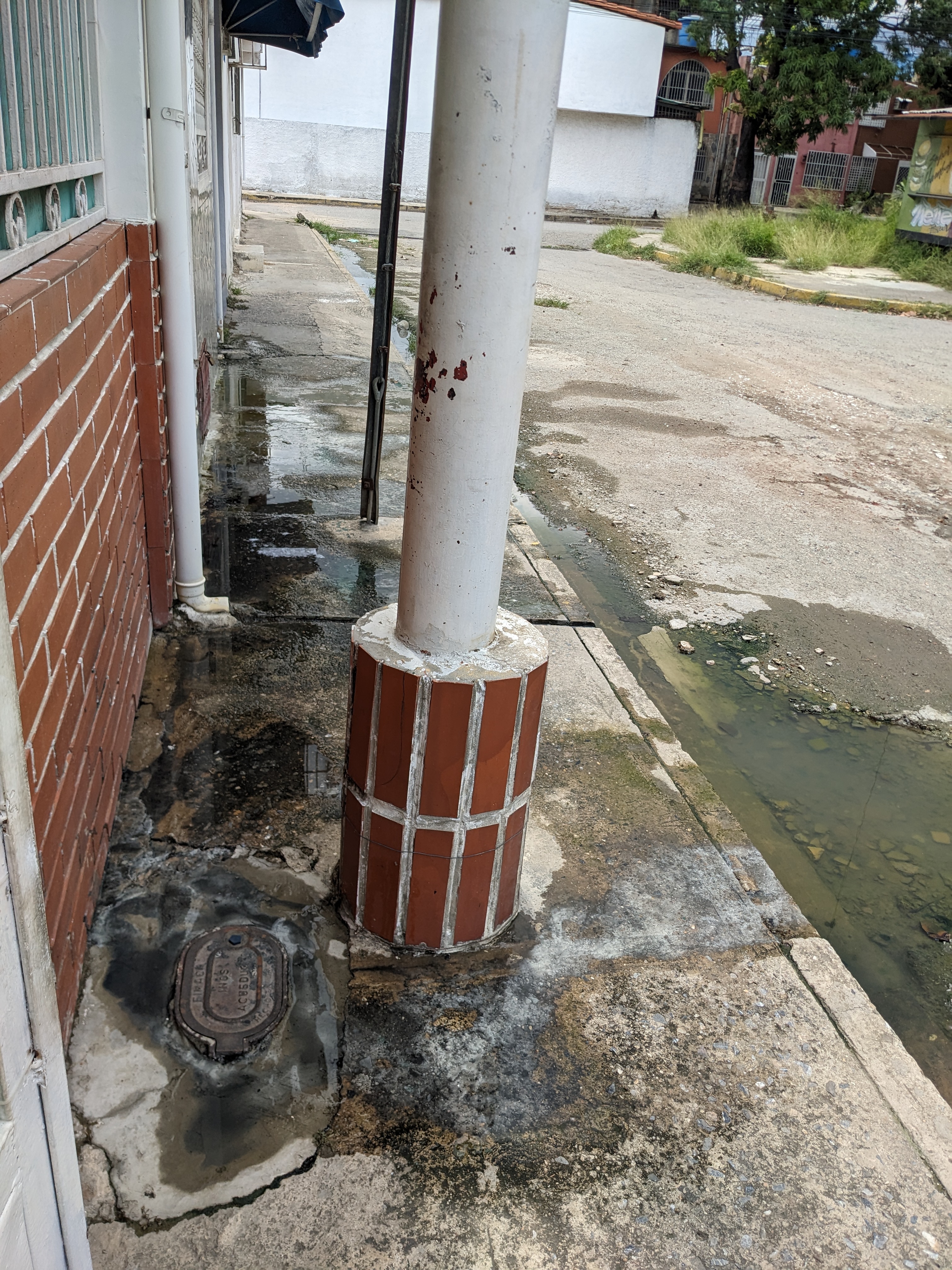 Foto reporte