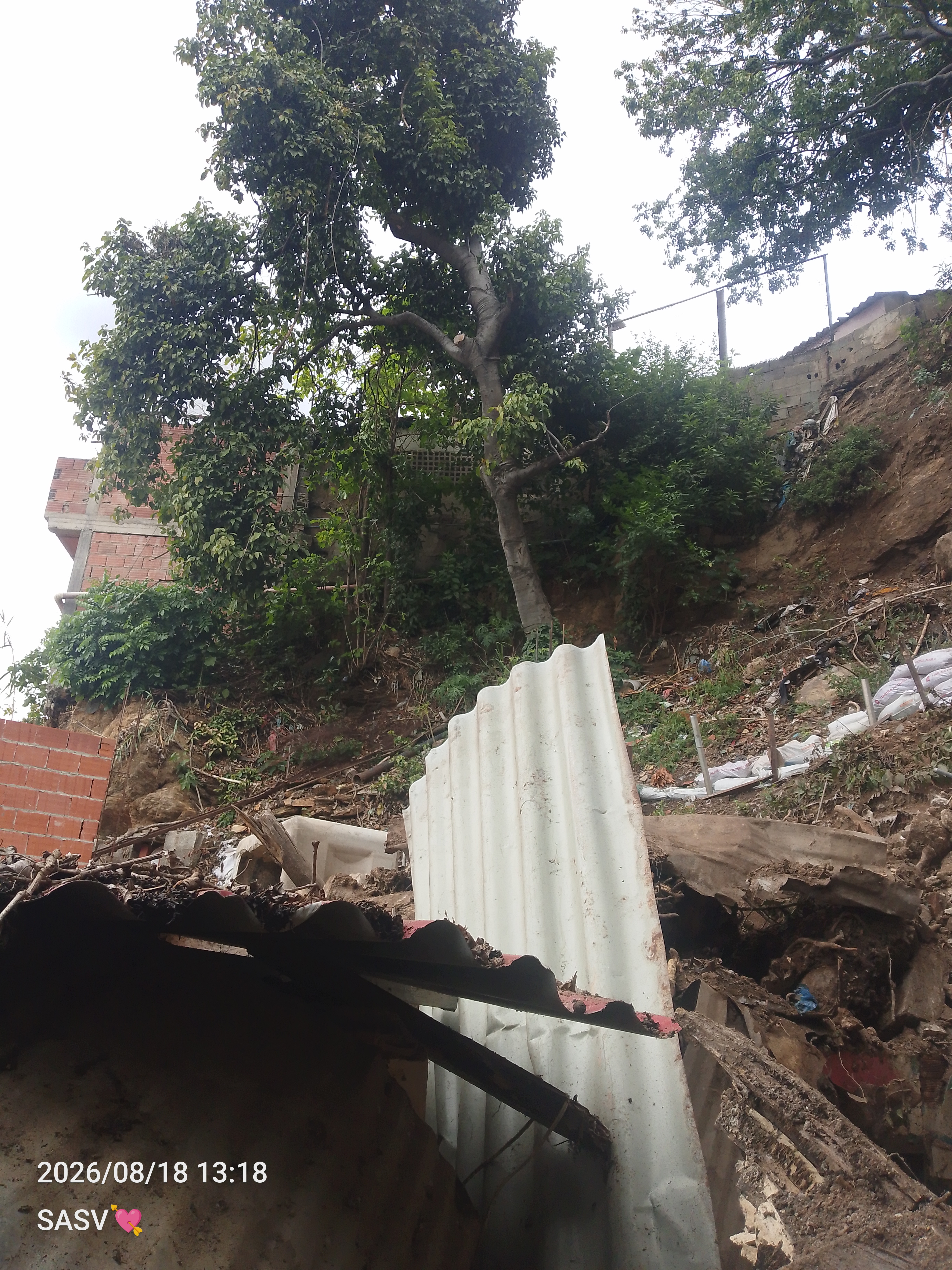 Foto reporte